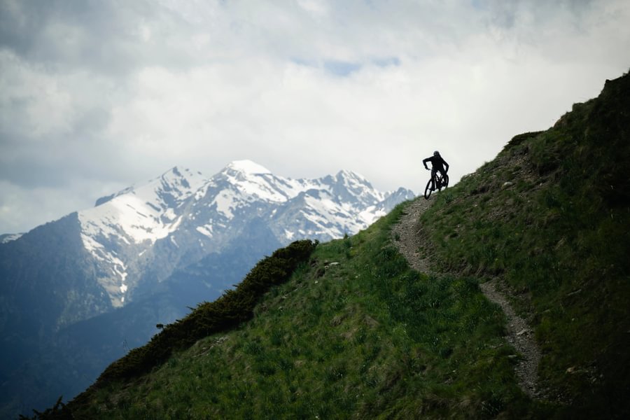 orbea occam 2026 mtb trail